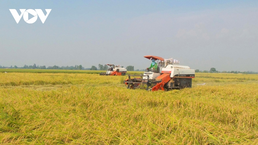 Vietnam Rice Festival 2023 to be held in Hau Giang this December